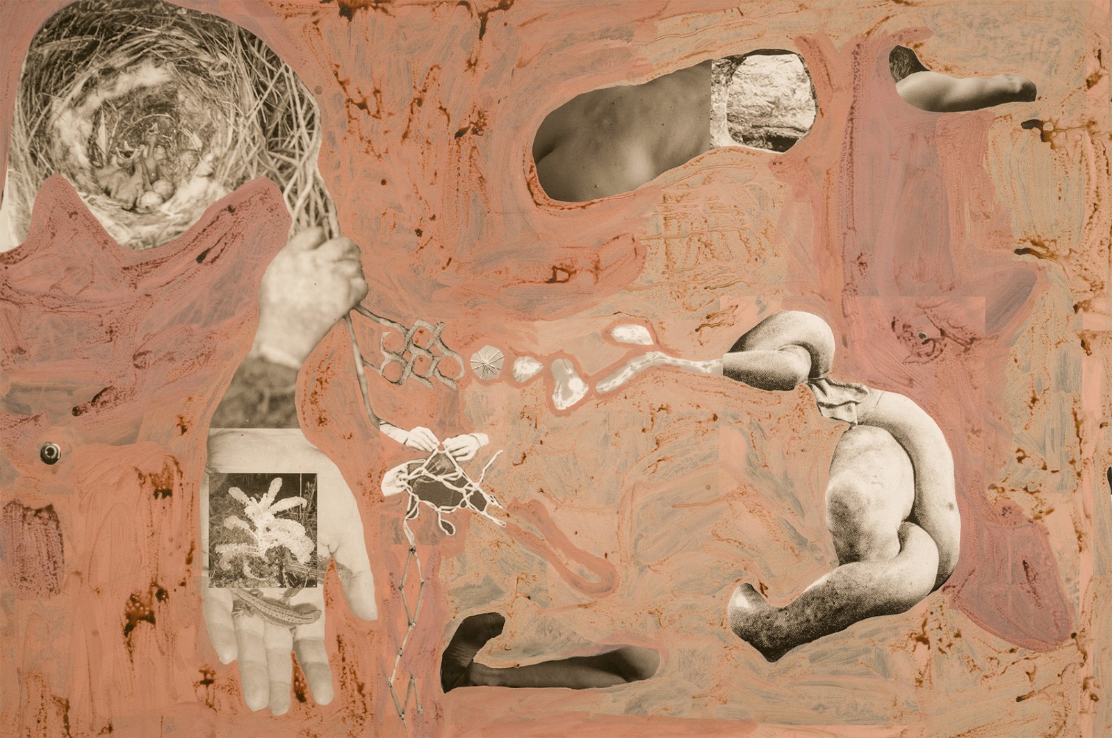 圖十二、《地勢 (關于時間，關于身體)》 (細節(jié)圖)，O?zlem Alt?n，2019