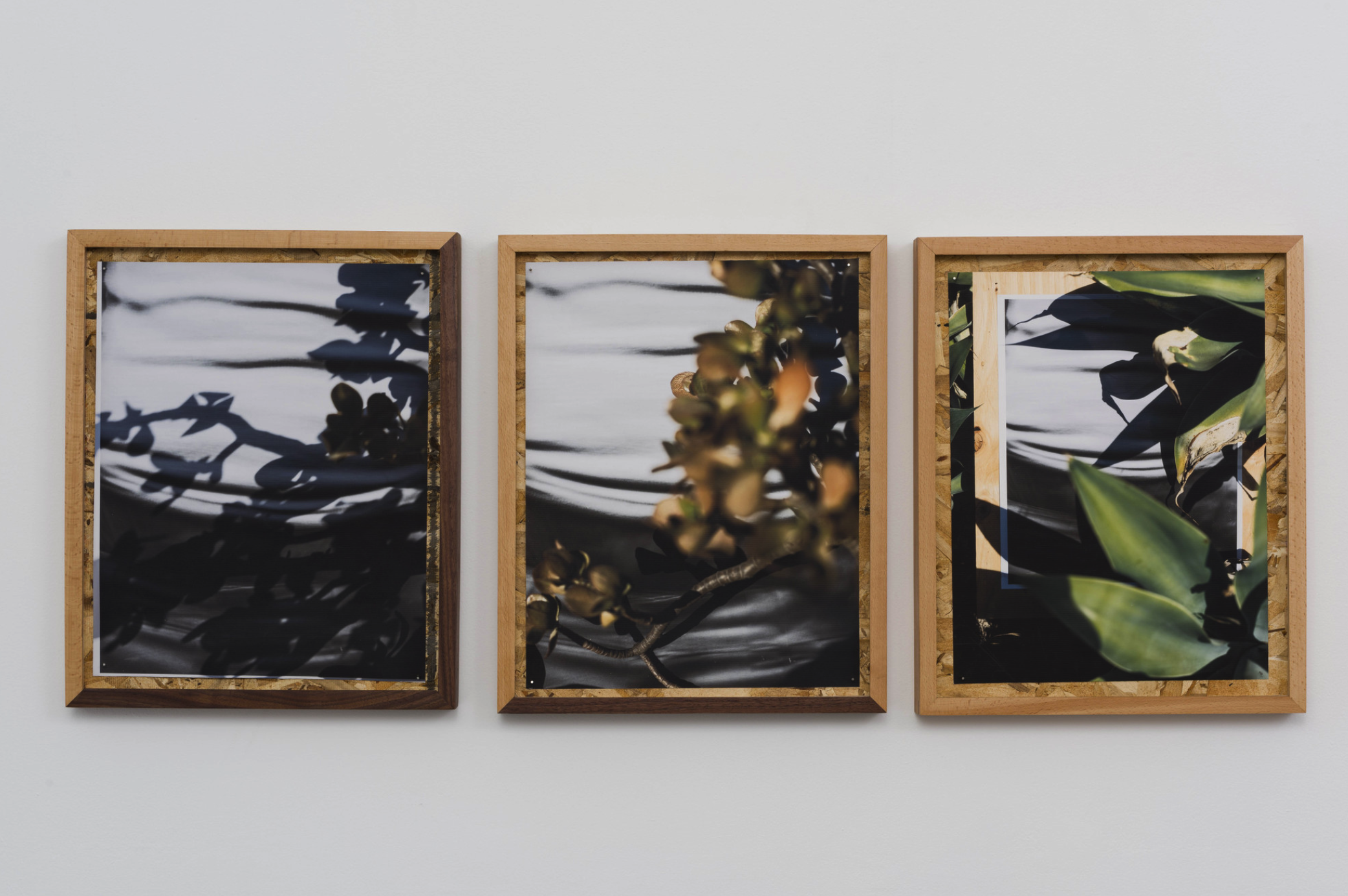 圖四、從左至右《庫卡蒙格牧場 34.1064° N, 117.5931° W. 》2018《回聲公園 34.0782° N, 118.2606° W.》 2018《康普頓 33.8958° N, 118.2201° W. 2018》David Alekhuogie